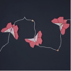 Butterfly 11