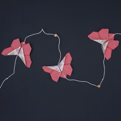 Butterfly 11