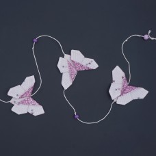 Butterfly 5